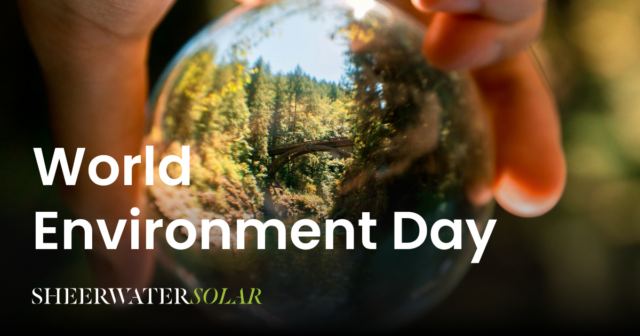 World Environment Day