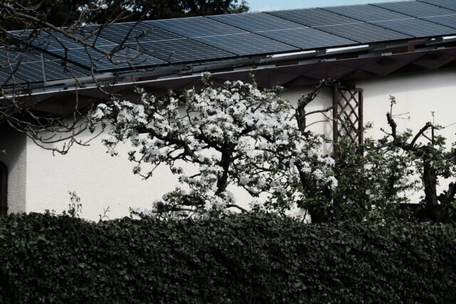 Solar panel with flowers