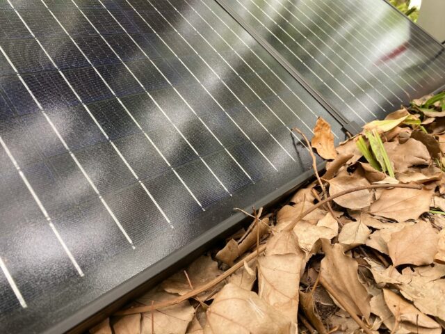 Leaves on solar panel