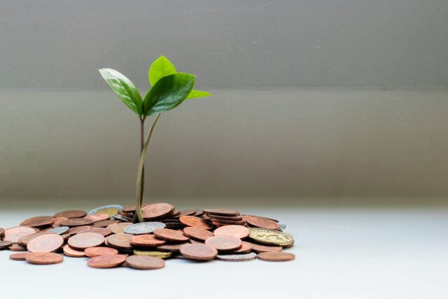 Money near plant
