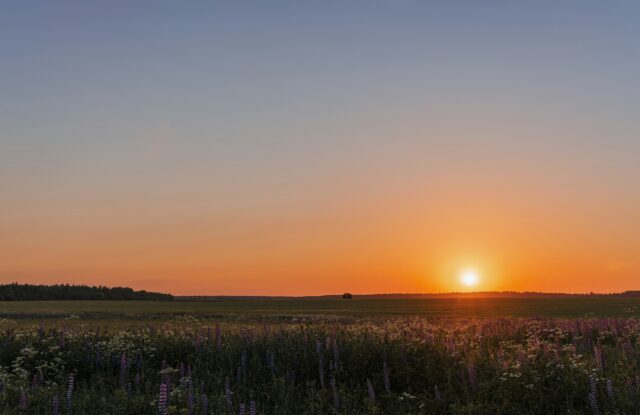 Sunrise over fields